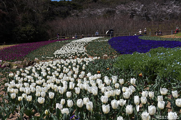 D72_0170.JPG