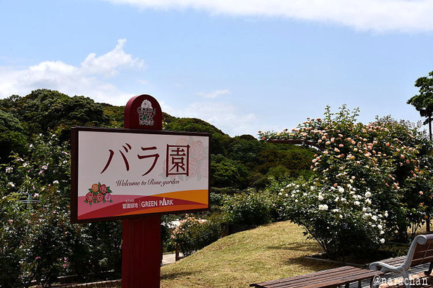 D72_0472.JPG