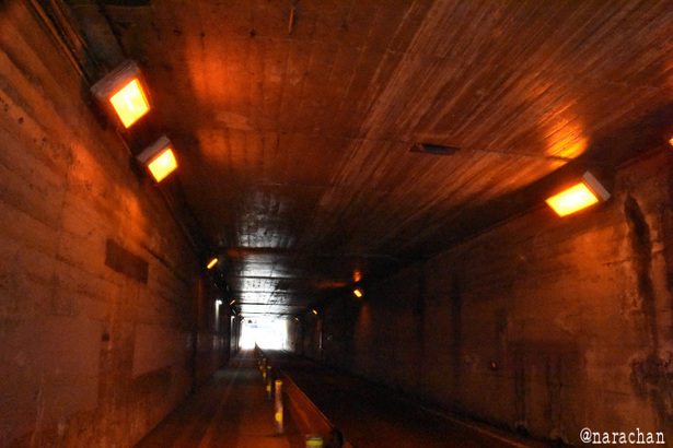 D72_1042.JPG