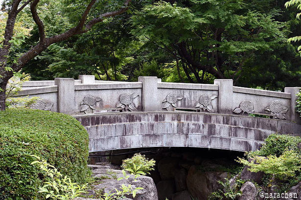 D72_1116.JPG