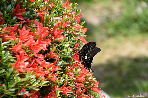 D72_1158.JPG
