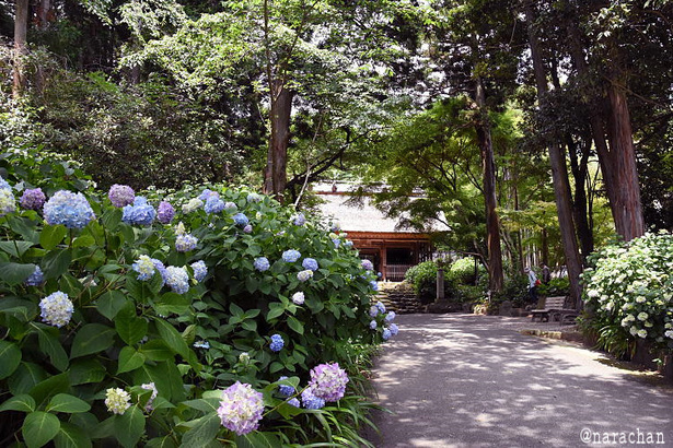 D72_1228.JPG