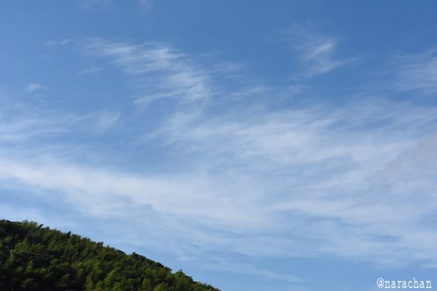 D72_1600.JPG
