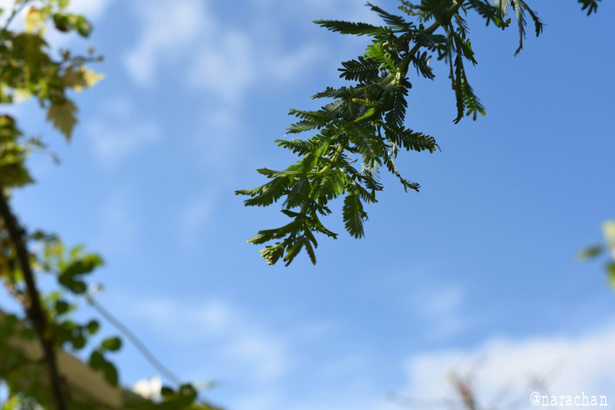 D72_1604.JPG
