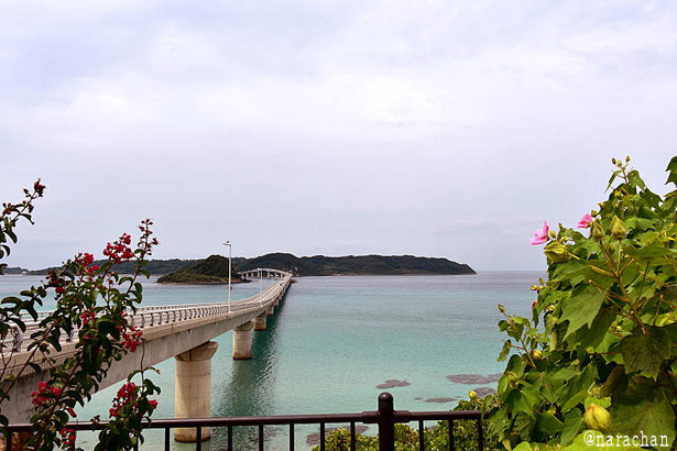 D72_2047.JPG
