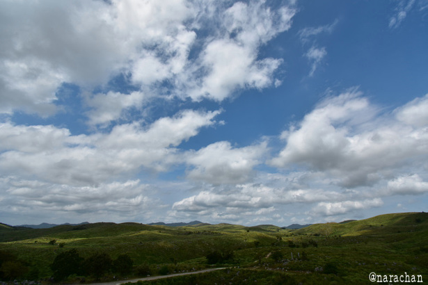 D72_2096.JPG