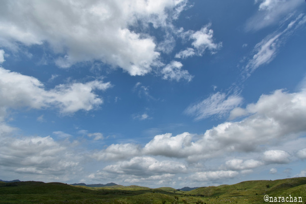 D72_2107.JPG