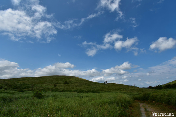 D72_2162.JPG