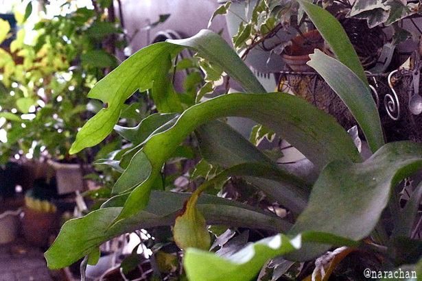 D72_2362.JPG