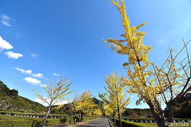 D72_2886.JPG