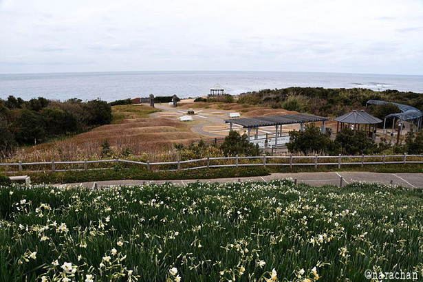 D72_3499.JPG