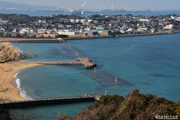 D72_3564.JPG