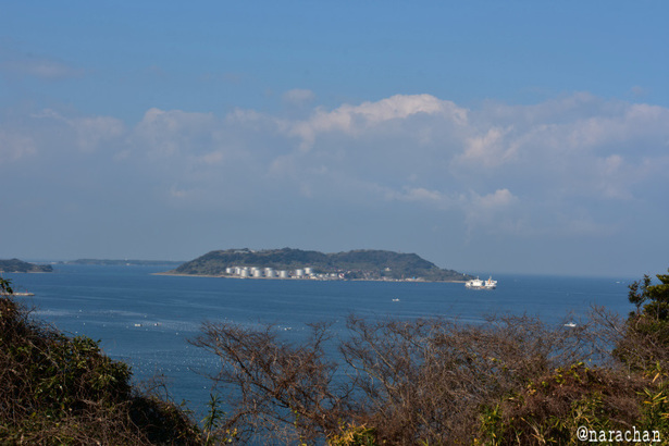 D72_3565.JPG