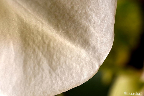 D72_3618.JPG