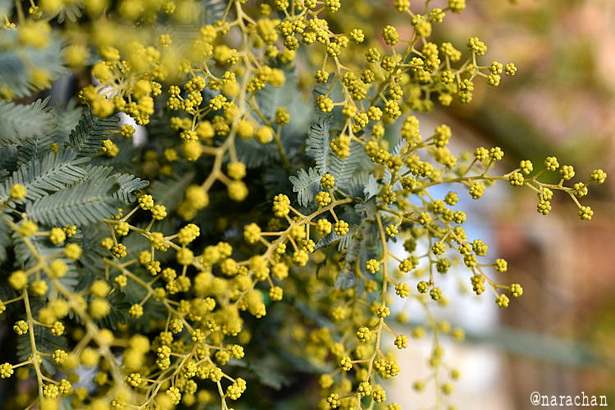 D72_3643.JPG
