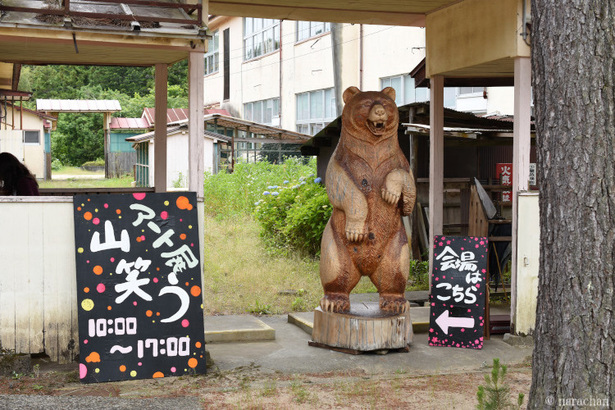 D72_3764.JPG