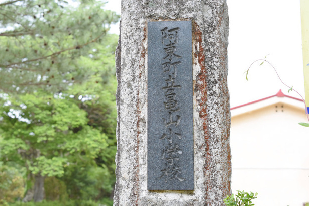 D72_3790.JPG