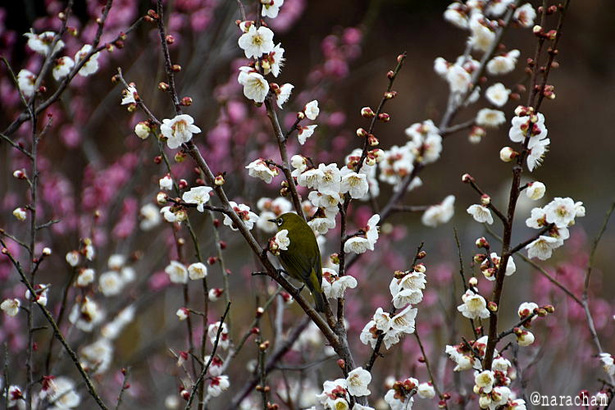 D72_3808.JPG