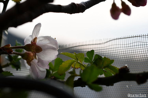 D72_3934.JPG