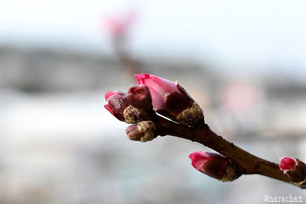 D72_3959.JPG
