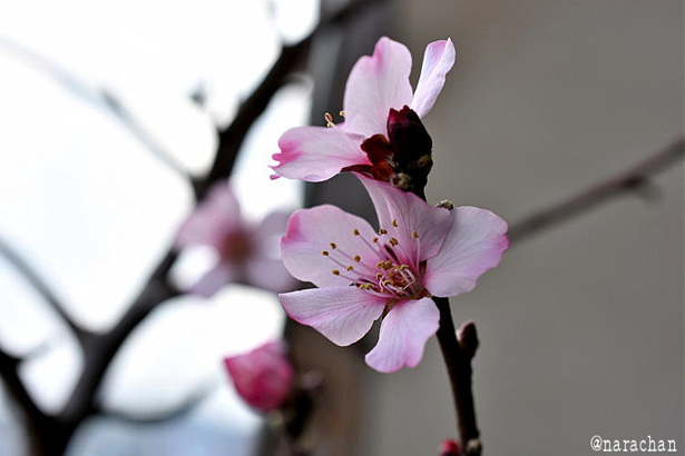 D72_3981.JPG