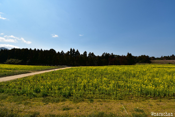D72_3985.JPG