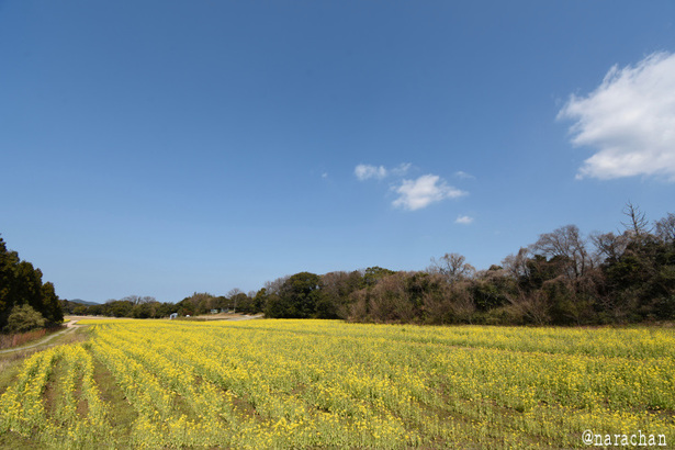 D72_3999.JPG