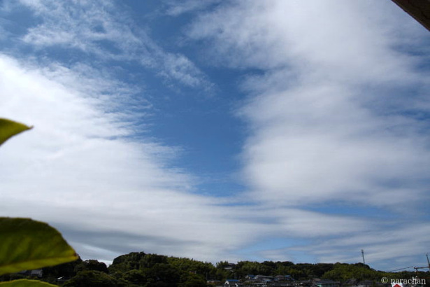 D72_4277.JPG