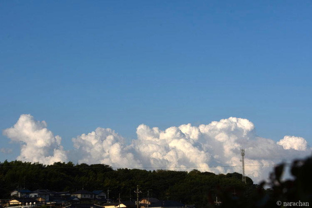 D72_4279.JPG