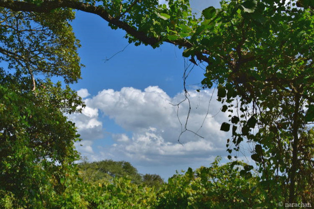 D72_4295.JPG