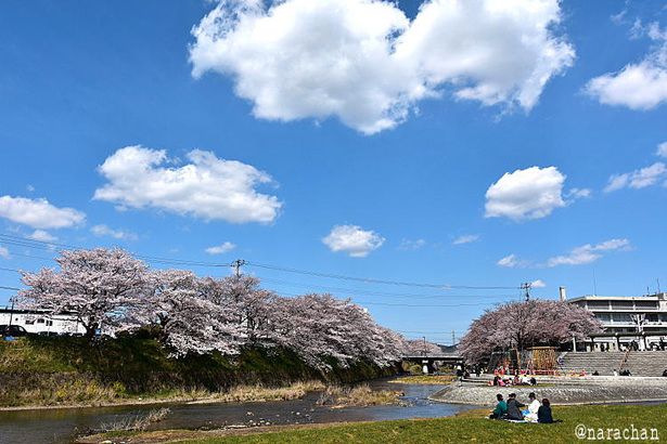 D72_4298.JPG