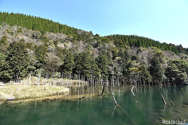 D72_4307.JPG