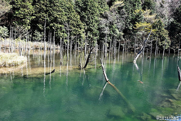 D72_4308.JPG