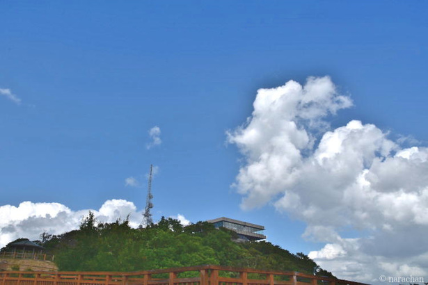 D72_4319.JPG