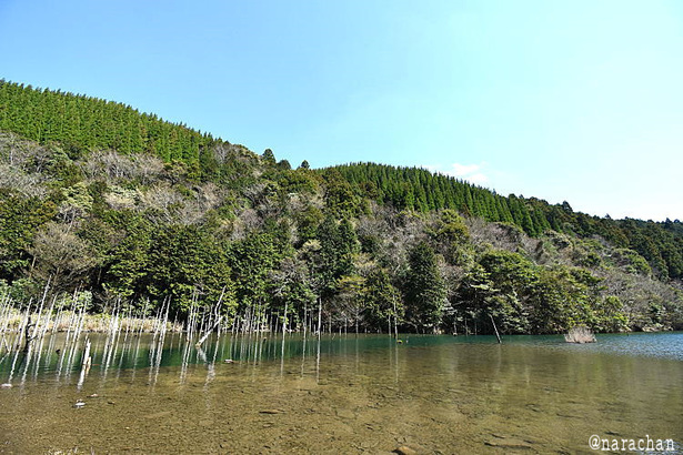 D72_4325.JPG