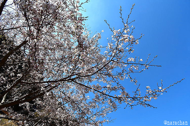 D72_4328.JPG