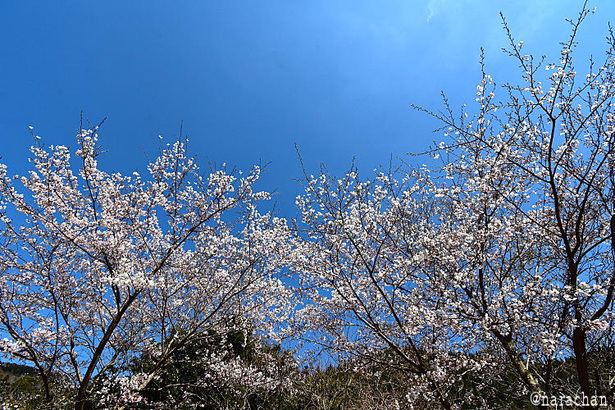 D72_4329.JPG