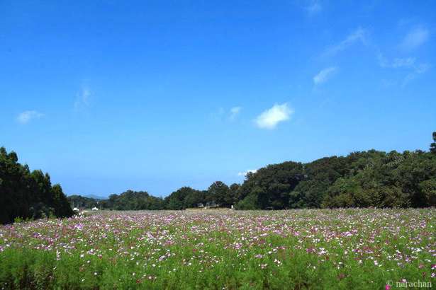 D72_4434.JPG