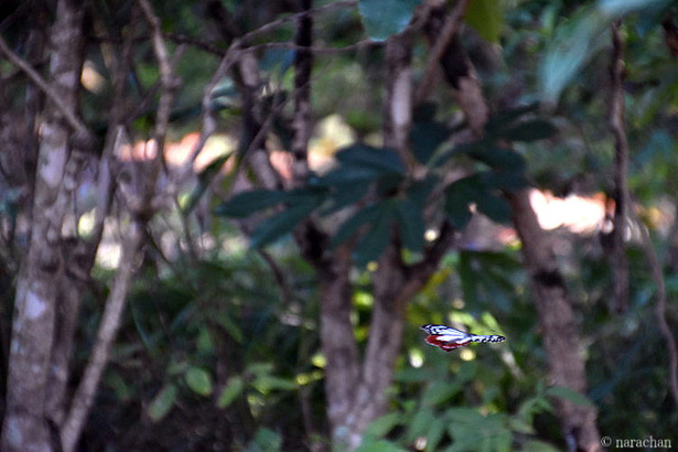 D72_4449.JPG