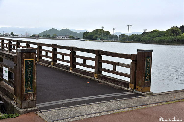 D72_5109.JPG