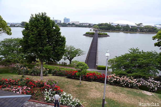 D72_5124.JPG