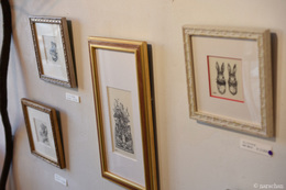 D72_5183.JPG