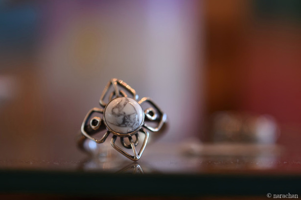 D72_5205.JPG