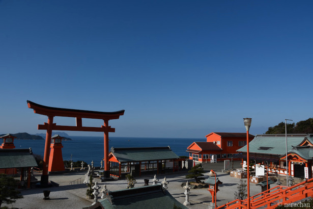 D72_5333.JPG