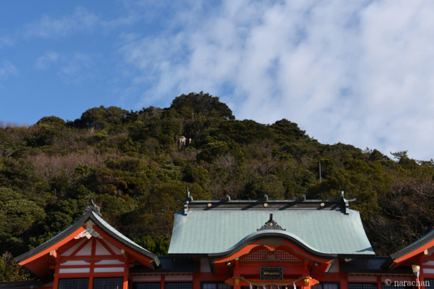 D72_5335.JPG
