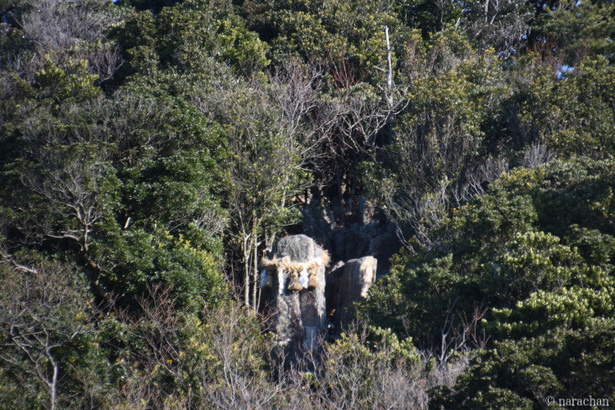 D72_5336.JPG