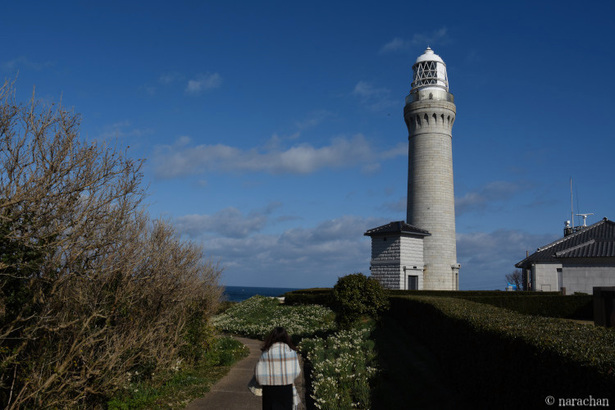 D72_5363.JPG