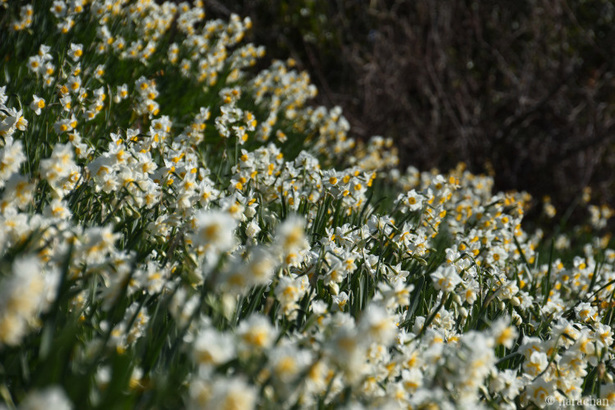 D72_5377.JPG