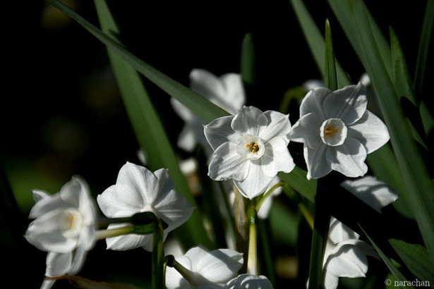 D72_5382.JPG