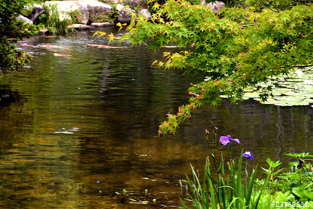 D72_5464.JPG